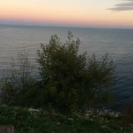 F2 Vue Mer Bastia Historique *